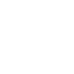 Us Border Patrol