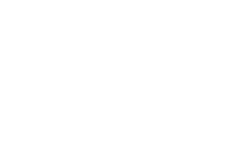 ARCGIS White Logo