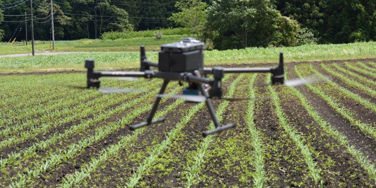 Crop Monitoring