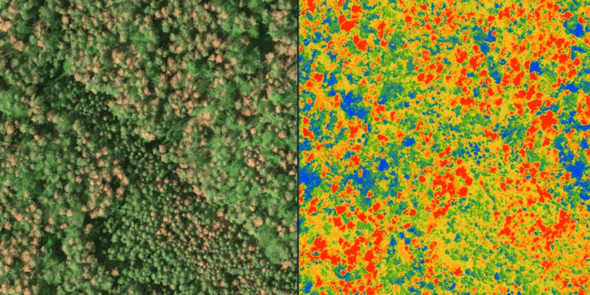Disturbance Forecasting