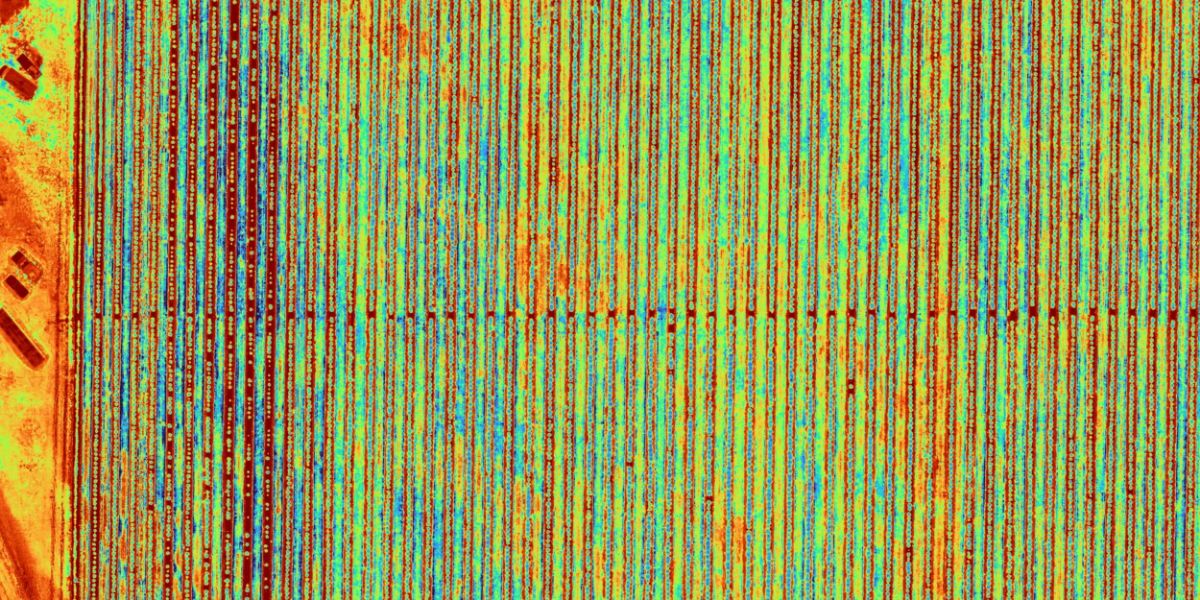 Plant Health Mapping