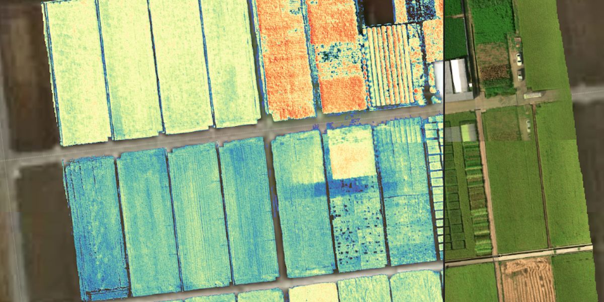 Vegetation Monitoring